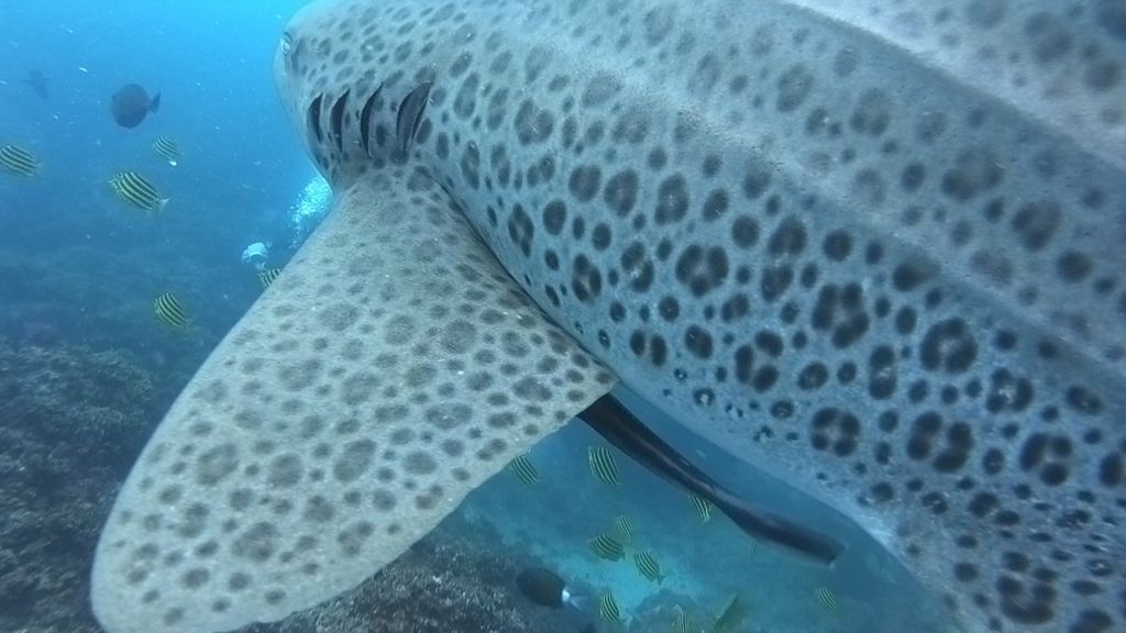 4a01f326-408e-4f97-9c90-d78b657a804a