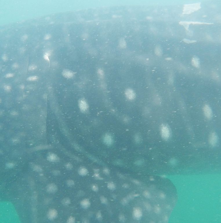 f3b0eb05-d340-42c2-8583-dda554cb7388