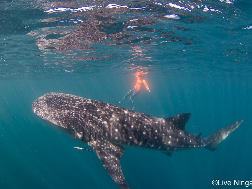 e6a1a743-a5a1-4465-bb44-ed24374edd4c