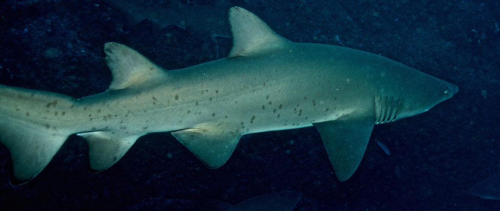 49a60bfc-5ec3-47c7-8149-61318fc7a46d