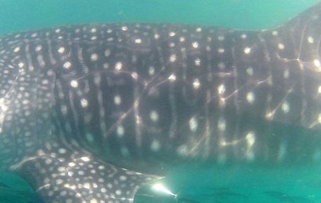 769e0f7b-5404-43f0-a996-a272a4c851ad