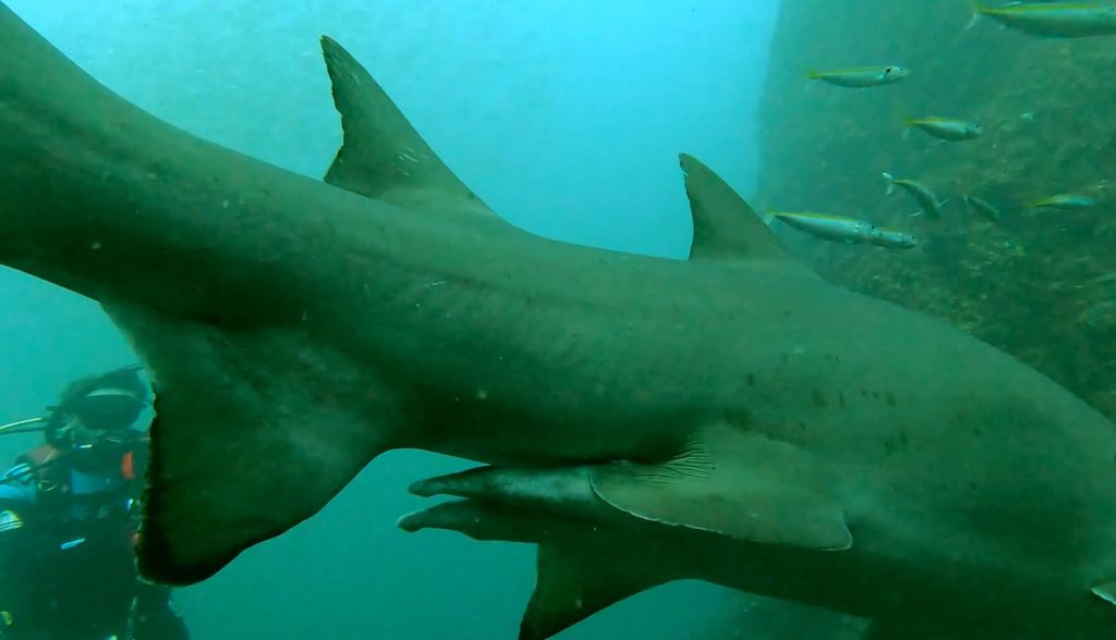 eb7bbe58-b68f-45c1-996e-035e82d4da9e