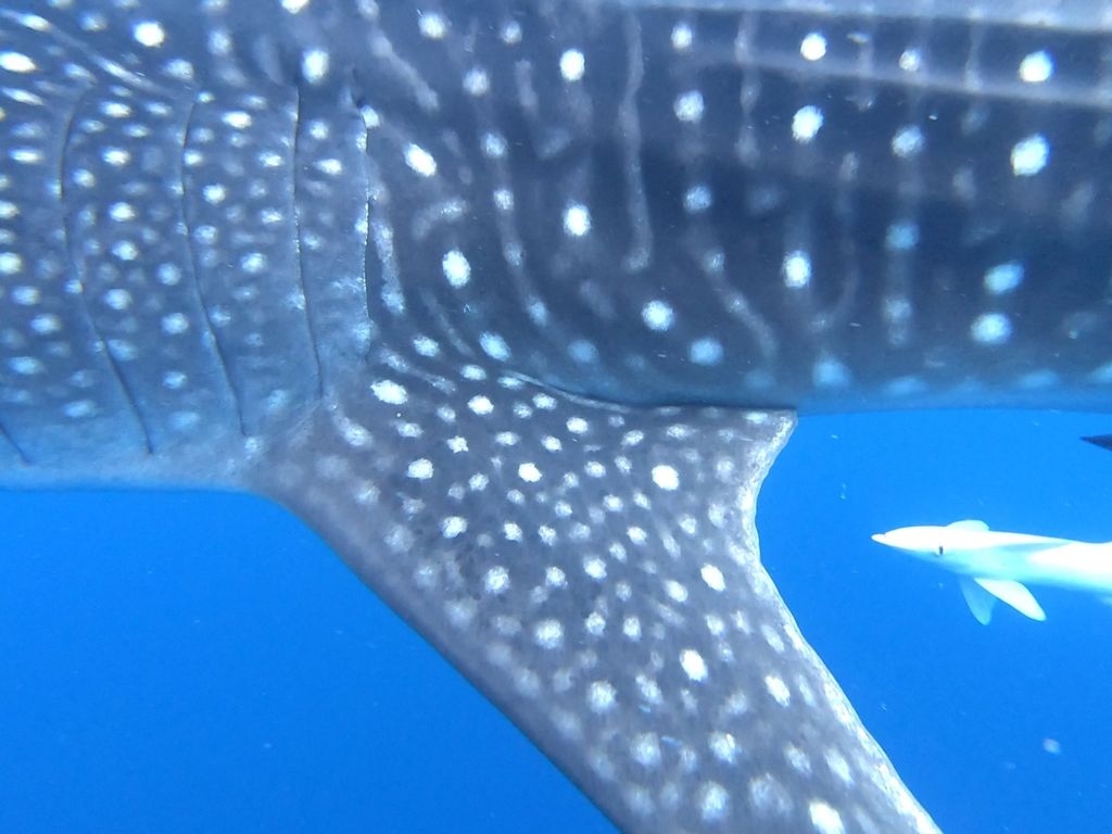 19264ea4-050a-441f-82b4-a673f572aa12