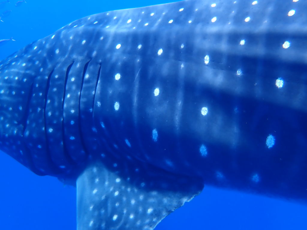 45db077e-38c3-4745-8144-f47bde6f3399