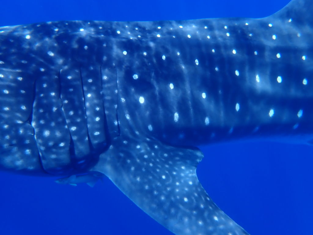 45db077e-38c3-4745-8144-f47bde6f3399