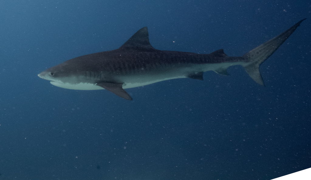 23a3b530-4a3c-4d03-bbfd-d5000d43eab5