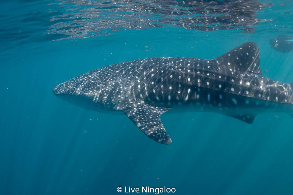 a59f8bfa-f8fc-47bb-889d-736fe2686fb1