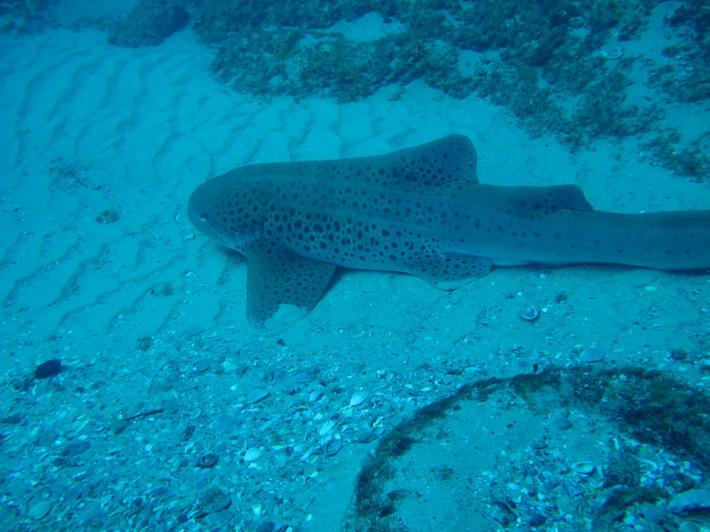 a91e79a9-082d-4a73-b5a5-e1ce7b174027