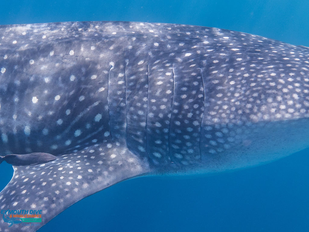 b9e4b6f6-be5b-4629-a83f-bfeb7dd4a913