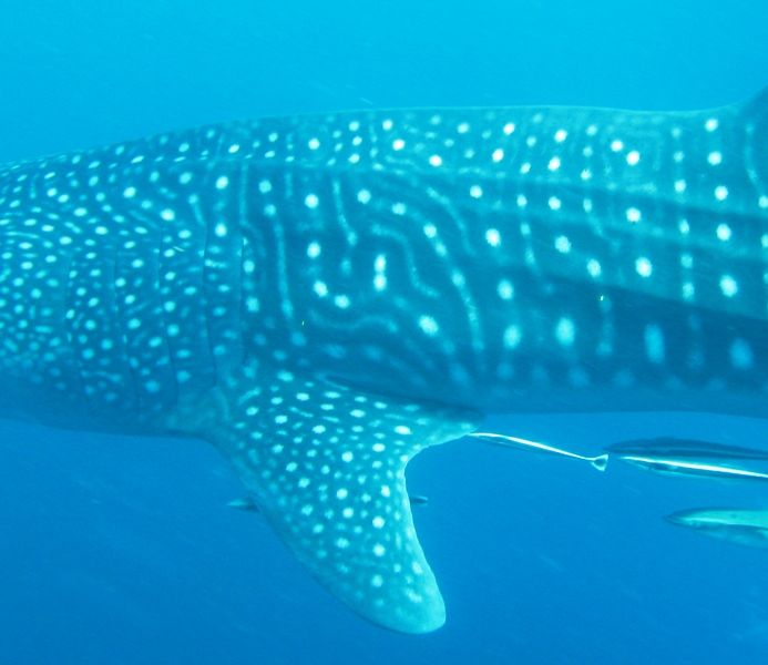 6987a642-0930-4d9f-b850-da7434e1f91e