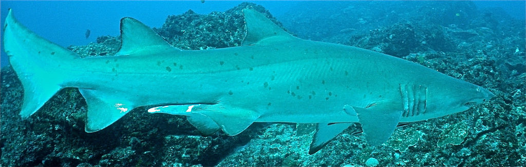 9f4d0d42-e68b-4653-9c79-1b3946a68b27