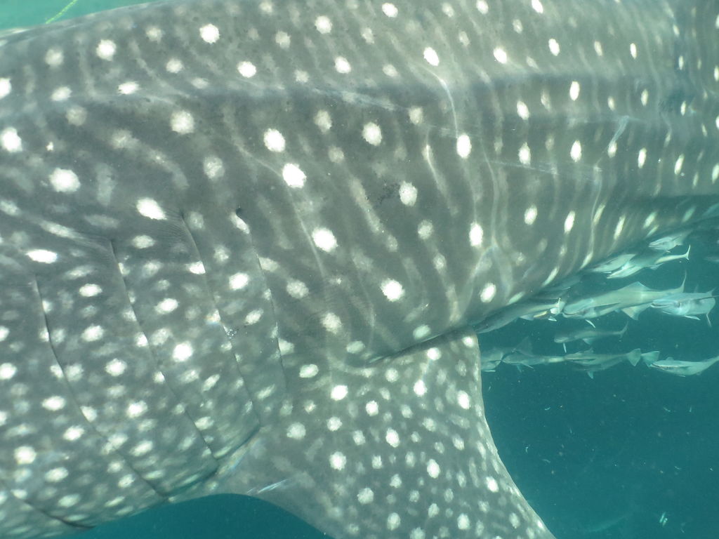 2a70f9ac-9dc7-47a8-b2d5-9edb60d6d710