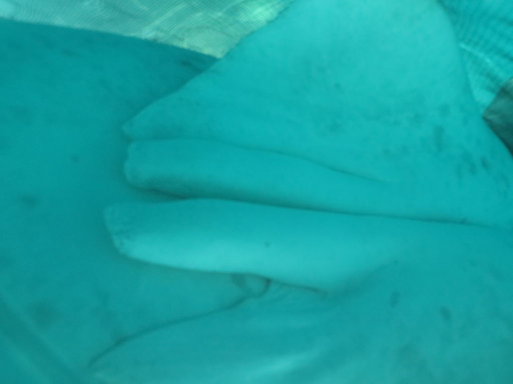 2a70f9ac-9dc7-47a8-b2d5-9edb60d6d710