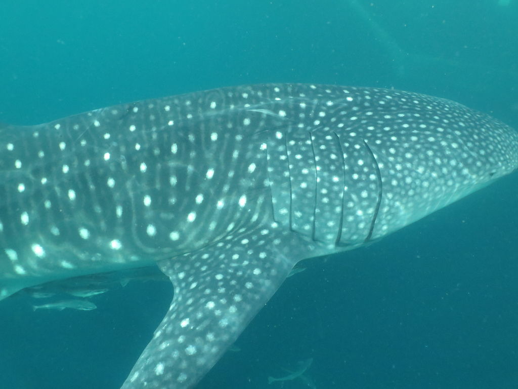 2a70f9ac-9dc7-47a8-b2d5-9edb60d6d710