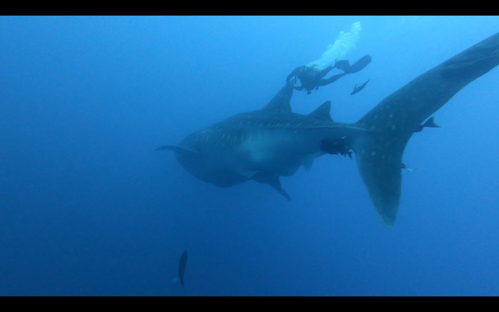 d1b750d5-db3e-4f26-961d-724a9080efc7