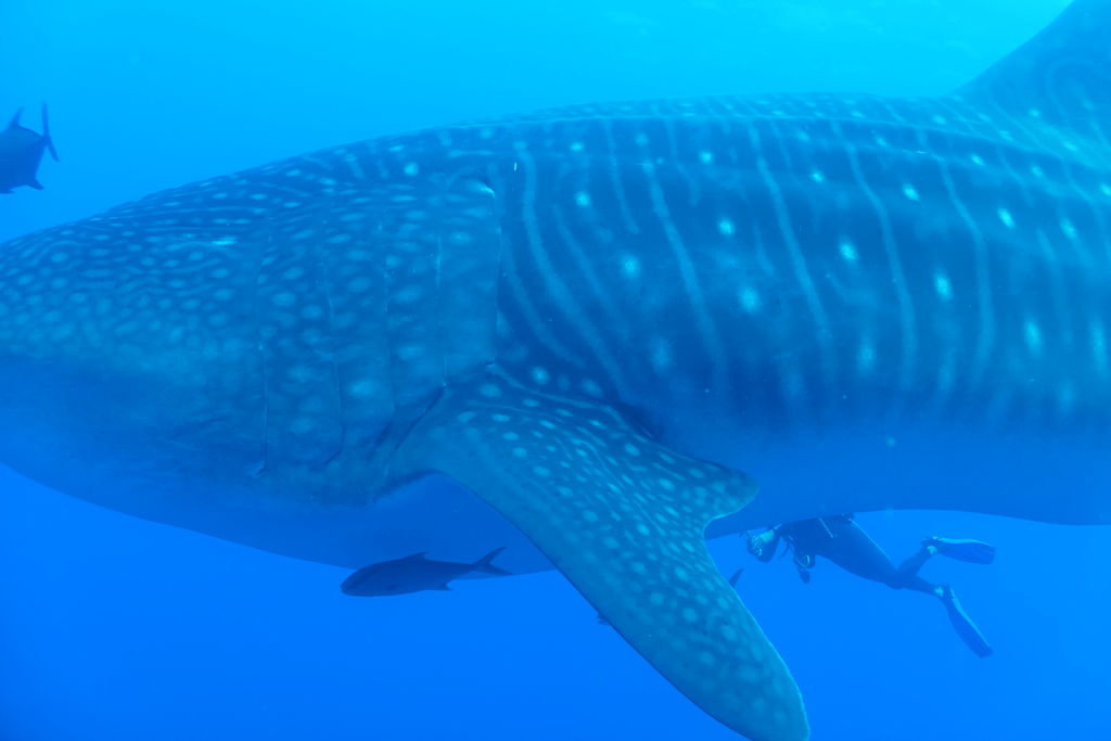 d1b750d5-db3e-4f26-961d-724a9080efc7