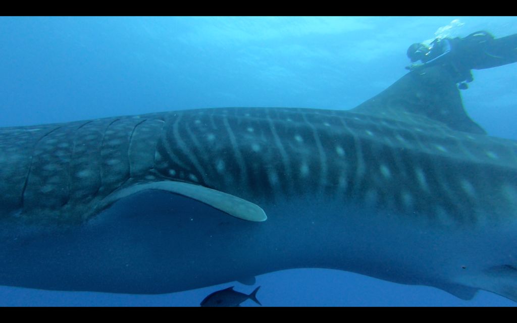 d1b750d5-db3e-4f26-961d-724a9080efc7