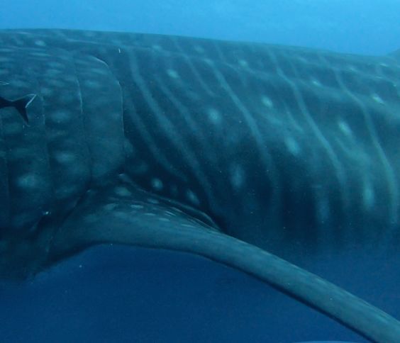 d1b750d5-db3e-4f26-961d-724a9080efc7