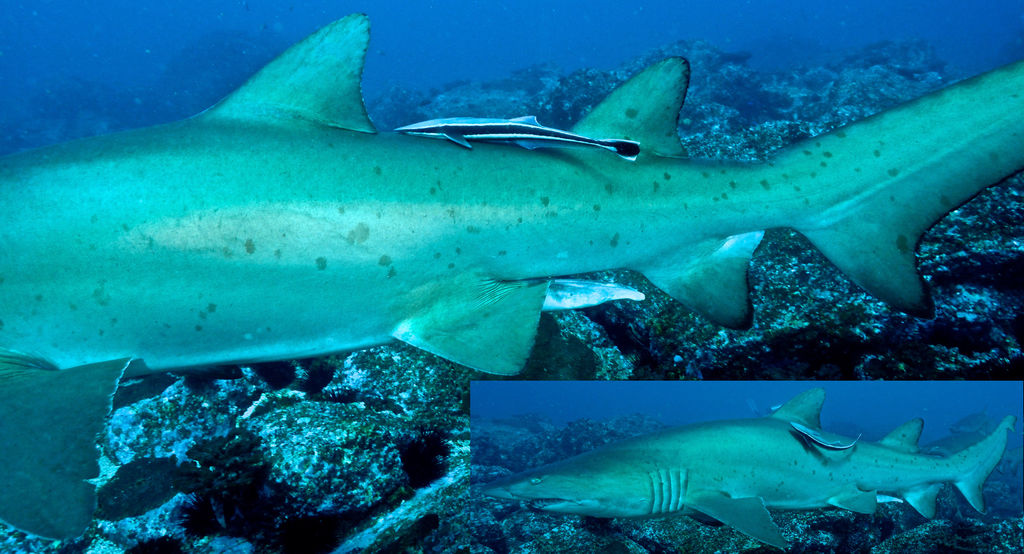 4819673c-905a-4327-91e5-5f21ac8a2553