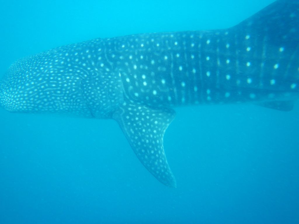 c5bc5673-466e-4fb4-b84c-e4f7d429b8c1