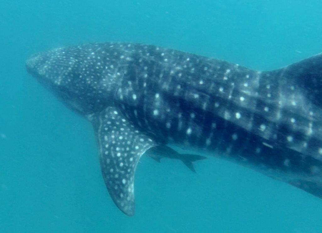 85ab8538-0469-4e04-a80c-7968ded5ec1b