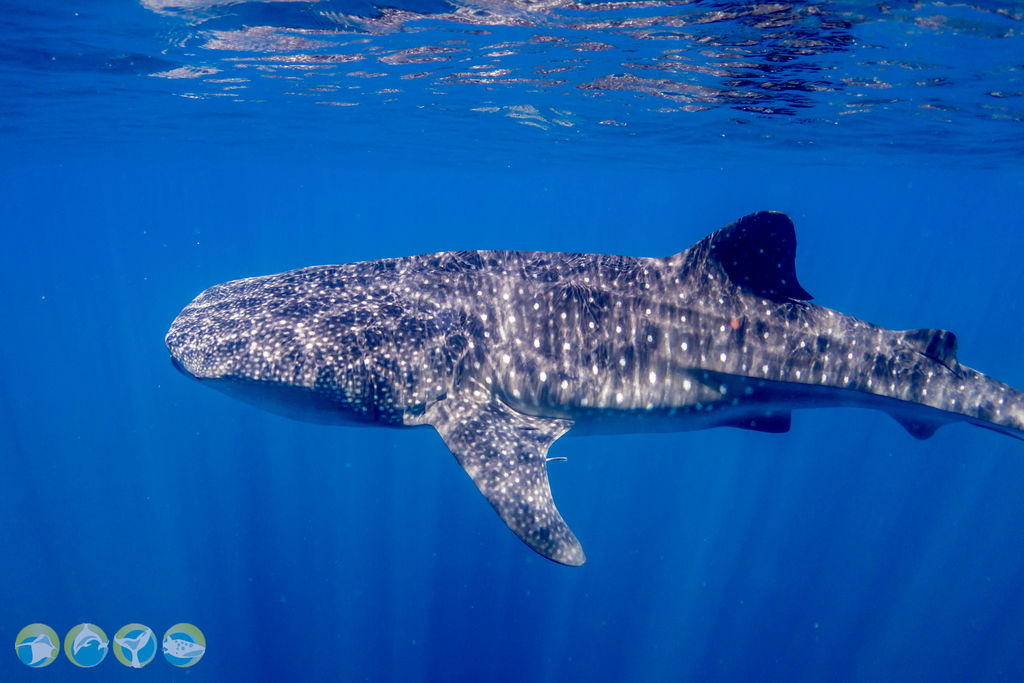 4f77b77b-2d91-420a-9246-4a040e3d437f