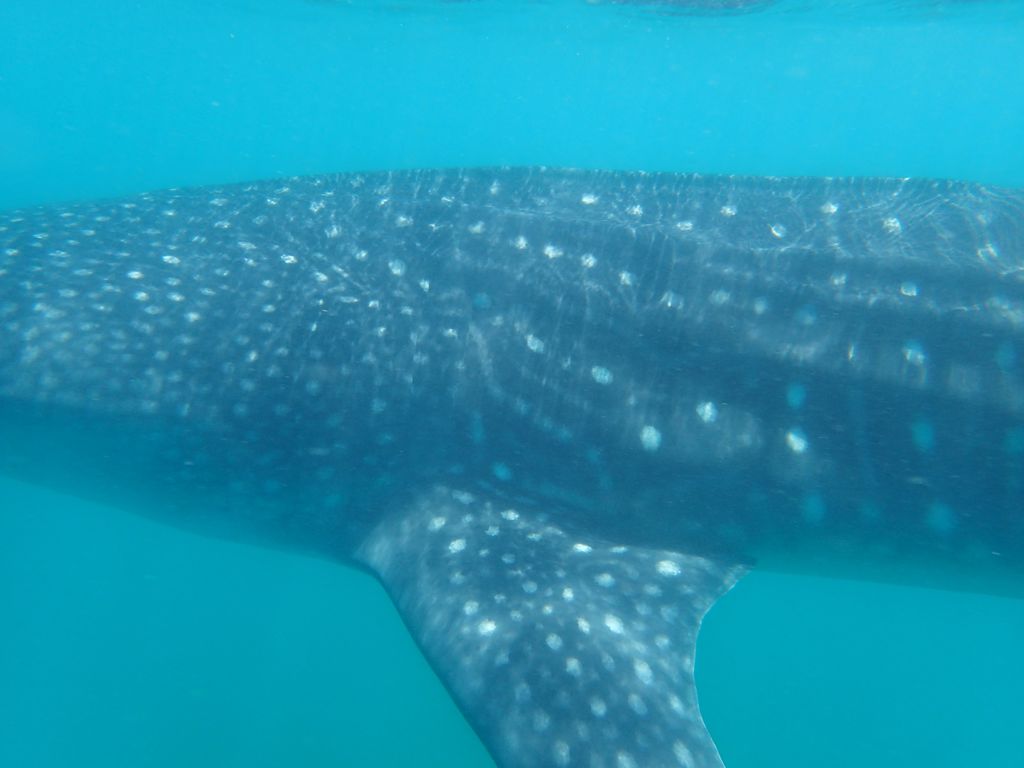 886b2395-9ccc-427e-bc34-c56250544468