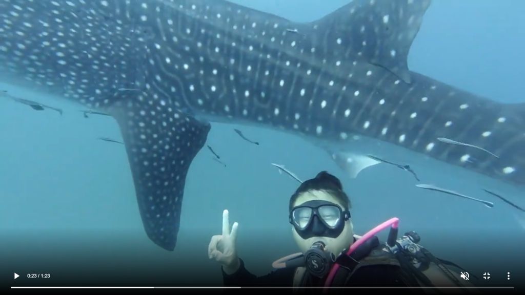 e0626ce5-2396-4c34-af0d-2685f086c562