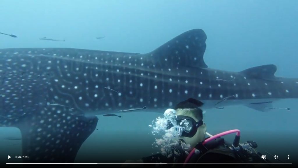 e0626ce5-2396-4c34-af0d-2685f086c562