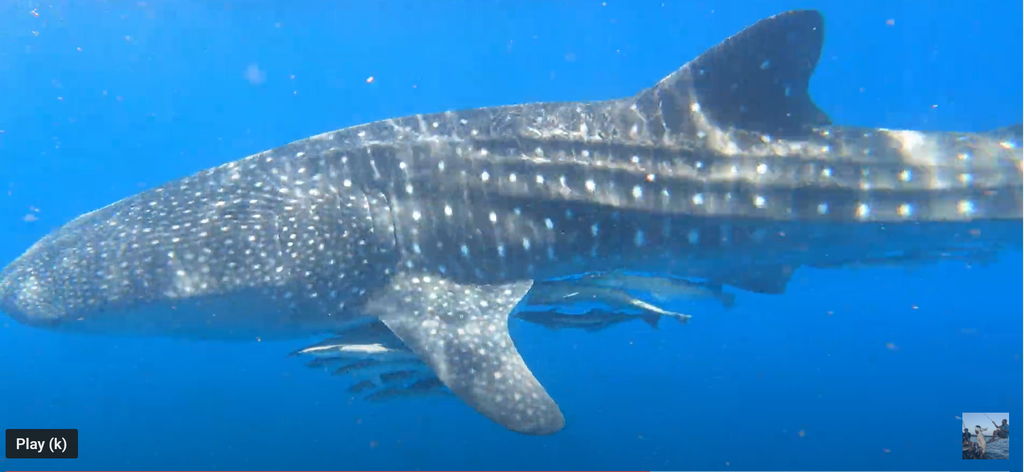 efdfb2dc-795c-4349-be0d-9919f9b4d893