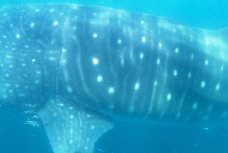 4480c8cb-fb97-4f98-ade3-919eac52a48b