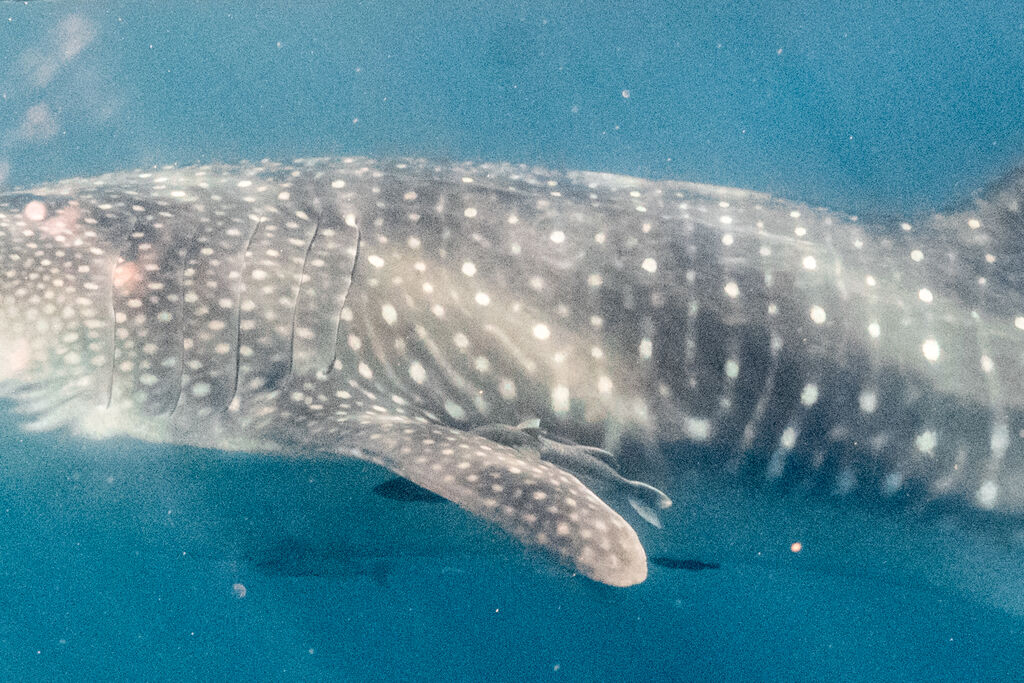 57f58dd2-f827-4c7c-ae70-40ec43d5968d