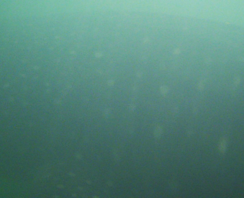 f0506170-239f-4e7a-a12f-d13cc218edd5