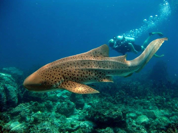 eedec8c1-ed39-413c-8b44-70c86b30f278