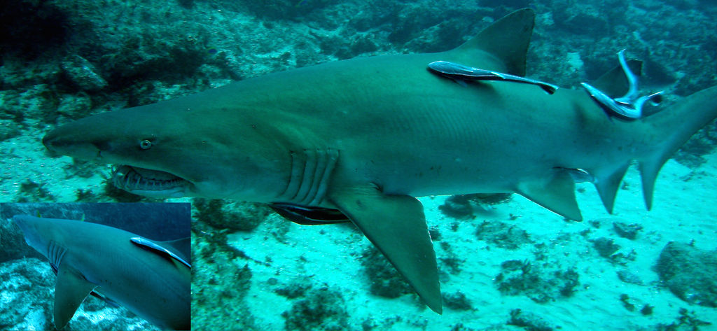 46698e22-dc69-4fed-be63-4a87d19402ce