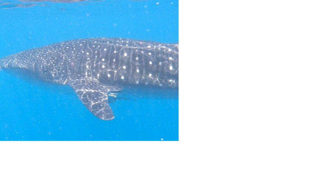 8f44ee68-5876-4a23-b21e-00cc0daca5af