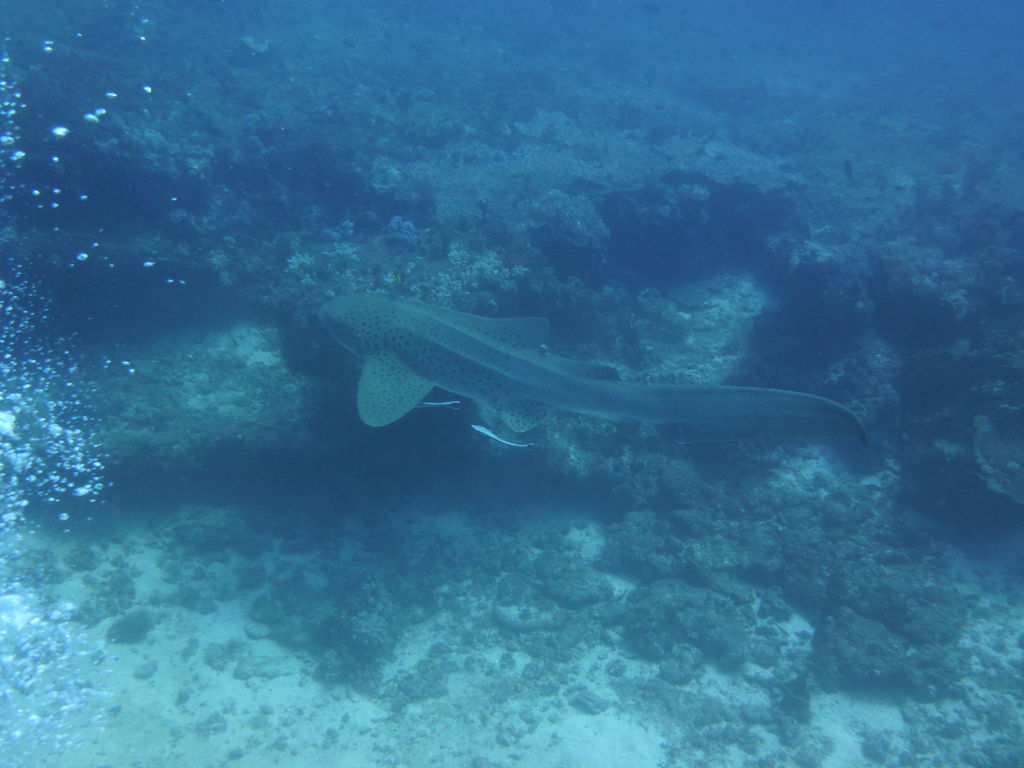 c02b565f-638b-4ac6-8eab-5b97029ce3dc