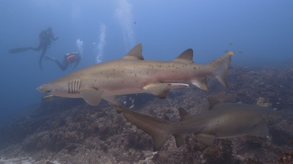 c4bfe670-371a-4716-8bce-1844f0a8802b