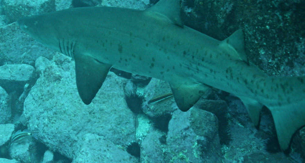 76a3265e-cd90-456f-873d-99e7dbc7d2ca