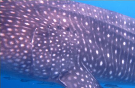 38675d63-761c-45f3-a303-9cd53a368f57