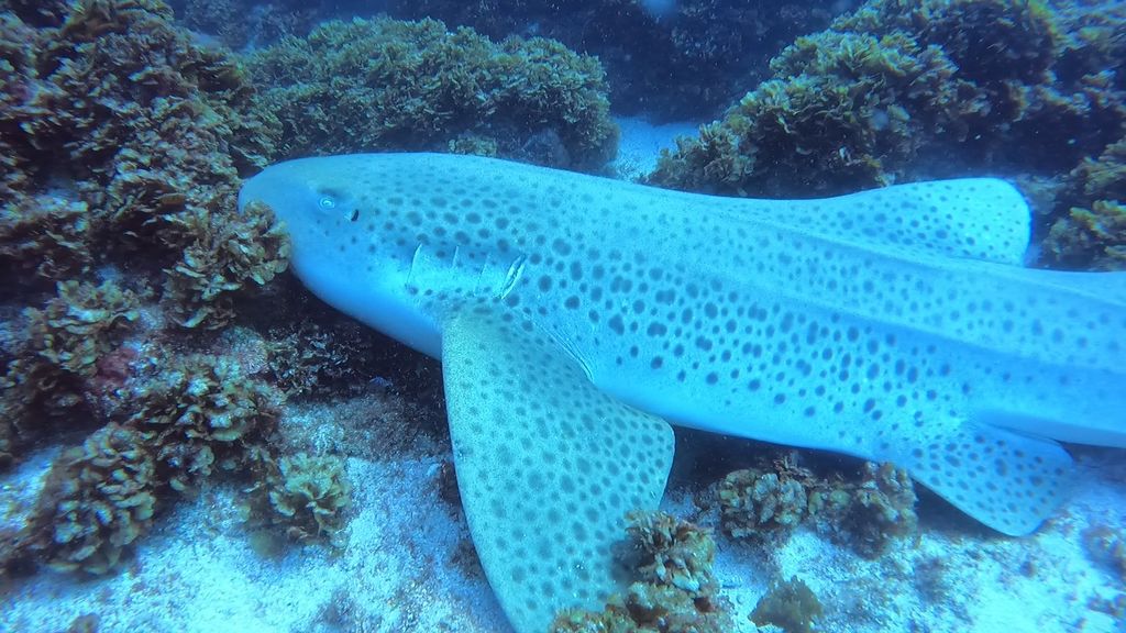 7a20eee5-1240-4d33-9791-baa73fa833ba