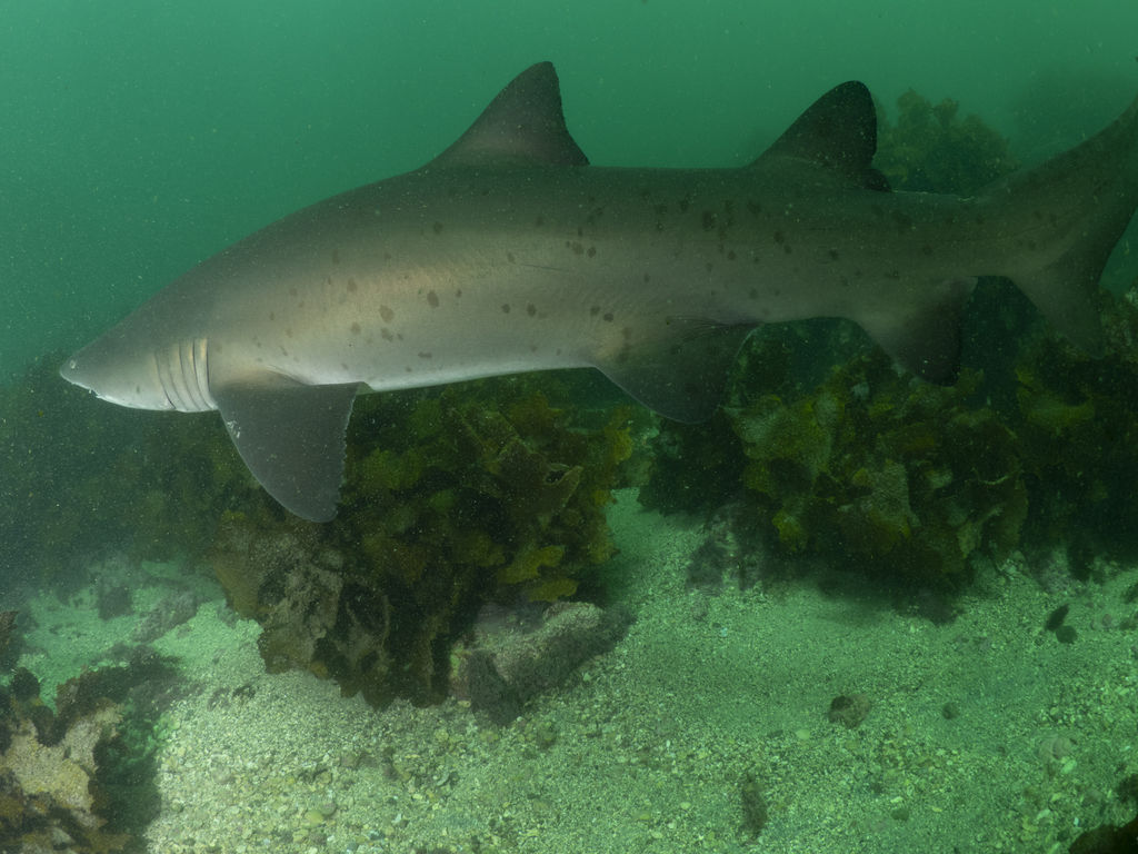 dfdea59c-4541-4944-8893-2e7192af4c42