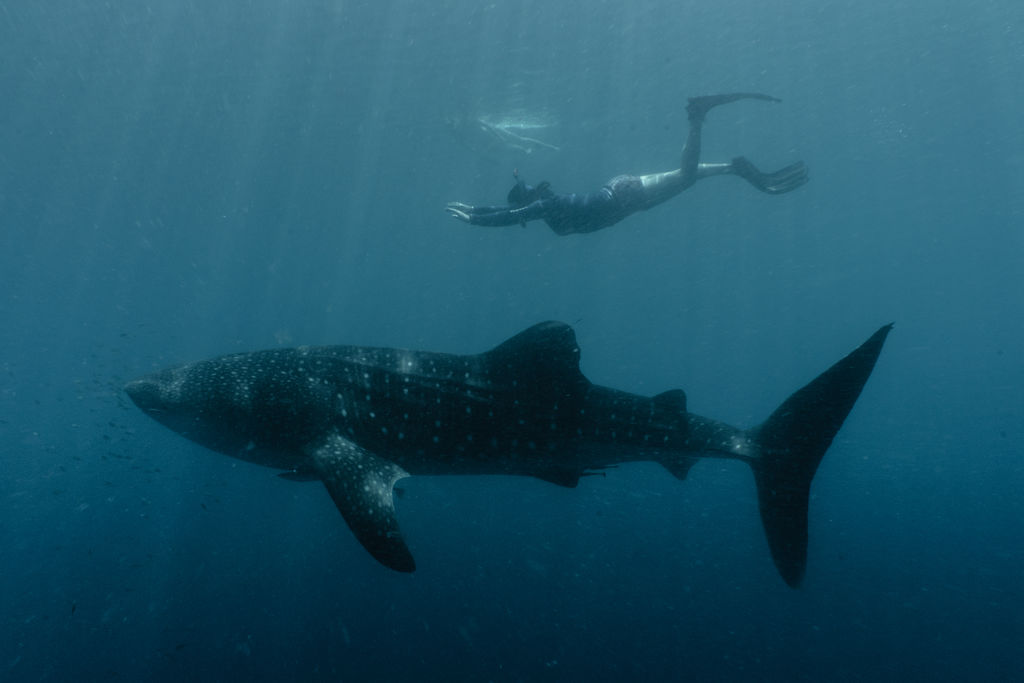 d49998b7-f479-4b2a-a396-f6b83e2fecd7