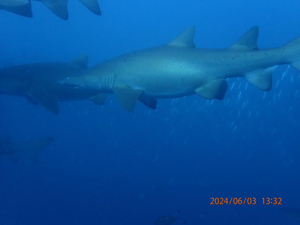 831ef2b4-043c-4111-8977-5d7b5b44273c