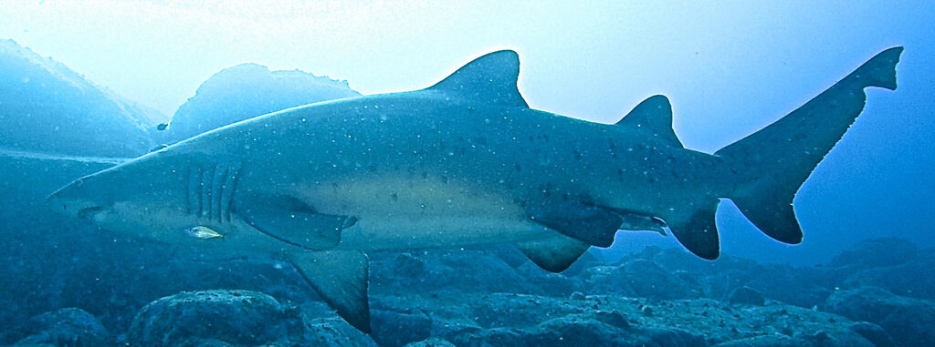 dcac5541-9282-4a36-a643-637e2bdae207