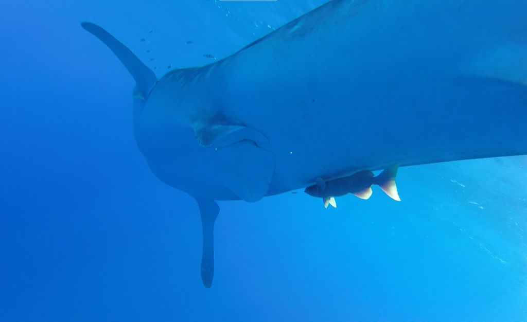 7ee91e8f-68c5-4900-aade-8d8ac7fb4566