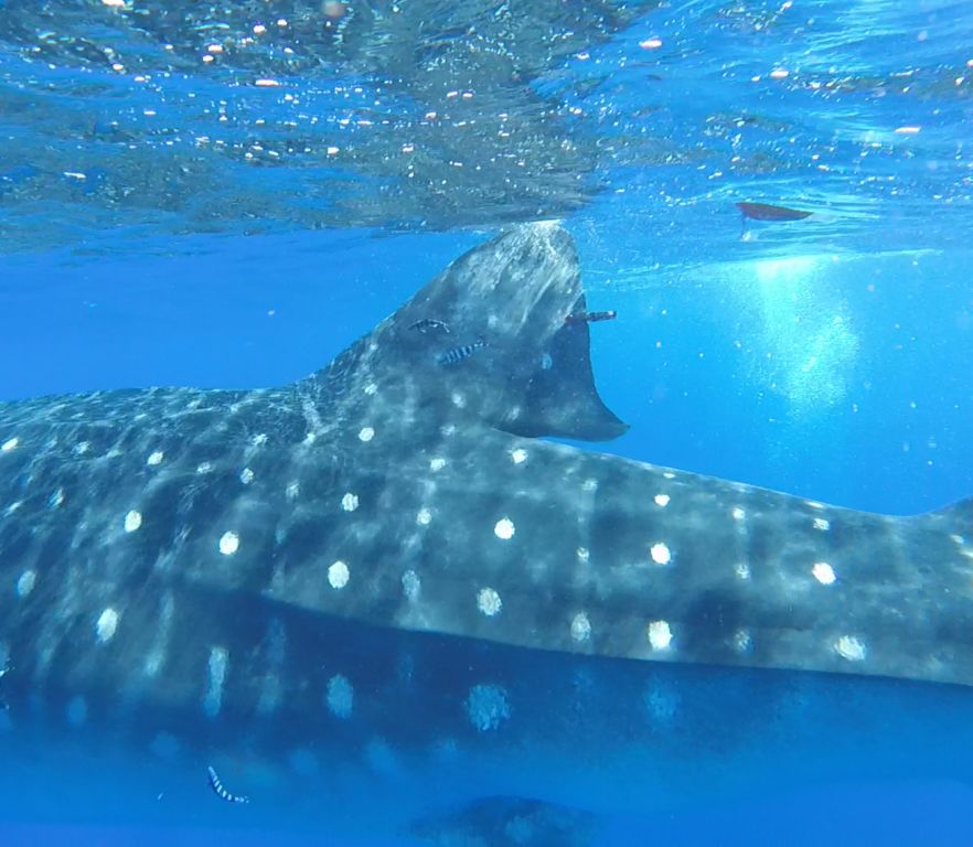 7ee91e8f-68c5-4900-aade-8d8ac7fb4566