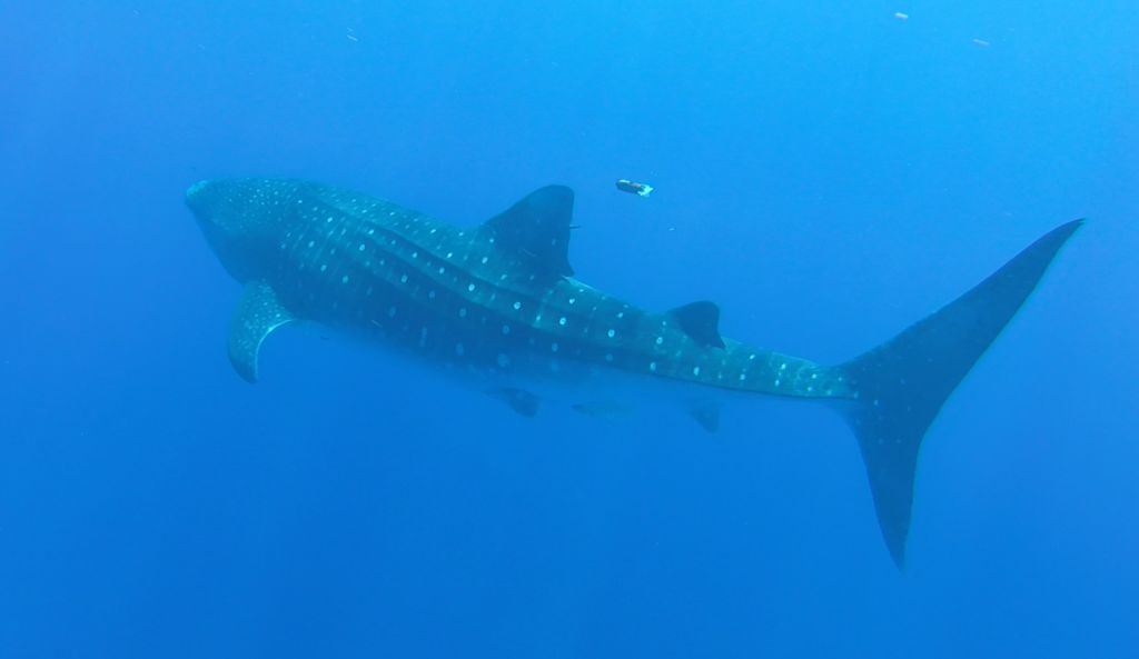 7ee91e8f-68c5-4900-aade-8d8ac7fb4566