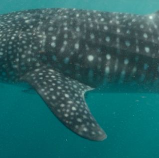 44e56054-1b9e-40d2-88d3-df2a071fb68f