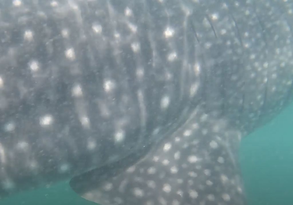 26daf2e4-d752-44f2-9158-a5e06bd33fc3